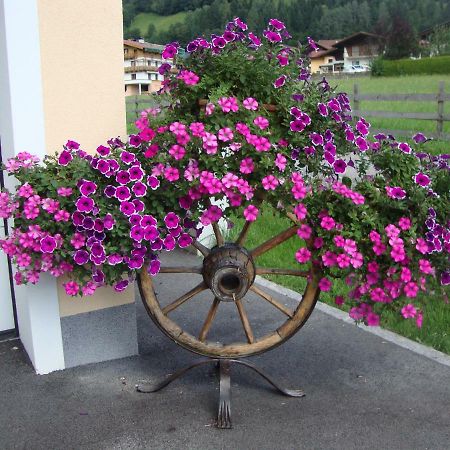Ferienwohnung Haus Schnepfleitner Dorfgastein Exterior foto